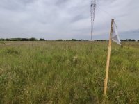 Eladó telek, Szigetszentmiklóson 10 M Ft / költözzbe.hu