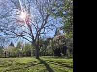 Eladó telek, Balatonberényben, Arany János utcában 19.5 M Ft