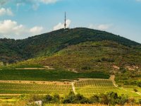 Eladó telek, Tokajban 62 M Ft / költözzbe.hu