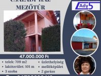 Eladó családi ház, Mezőtúron 47 M Ft, 30 szobás