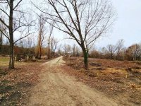 Eladó ipari ingatlan, Martonvásáron 90 M Ft