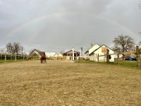 Eladó családi ház, Pusztaszemesen 74.9 M Ft, 3 szobás