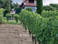Eladó nyaraló, Nyúlon 59 M Ft, 1+3 szobás / költözzbe.hu