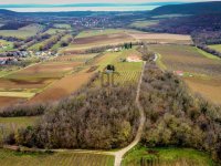 Eladó mezogazdasagi ingatlan, Balatoncsicsón 31.9 M Ft