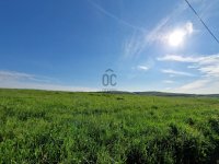 Eladó mezogazdasagi ingatlan, Őrbottyánban 20.9 M Ft