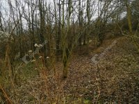 Eladó telek, Nagykapornakon 3.4 M Ft / költözzbe.hu