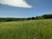 Eladó mezogazdasagi ingatlan, Balatonberényben 10.9 M Ft