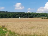 Eladó telek, Isaszegen, Ady Endre utcában 105 M Ft