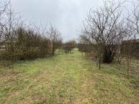 Eladó telek, Isaszegen 16 M Ft / költözzbe.hu