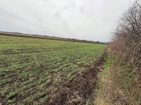 Eladó mezogazdasagi ingatlan, Bicskén 45 M Ft