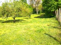 Eladó telek, Sárisápon 6.5 M Ft / költözzbe.hu