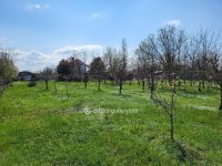 Eladó mezogazdasagi ingatlan, Siófokon 27.5 M Ft