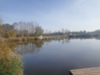 Eladó telek, Naszályon 40 M Ft / költözzbe.hu