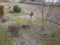 Eladó telek, Mikepércsen 15 M Ft / költözzbe.hu