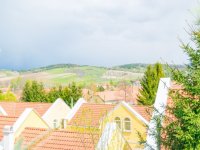 Eladó hotel, Dédestapolcsányban 525.2 M Ft, 21 szobás