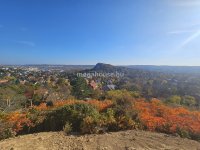 Eladó telek, Budaörsön, Fügefa utcában 80 M Ft