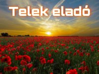 Eladó mezogazdasagi ingatlan, Kecskeméten 16 M Ft