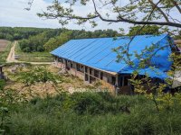 Eladó családi ház, Bedegkéren 97.9 M Ft, 3 szobás