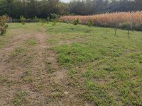Eladó telek, Szigetcsépen 19.5 M Ft / költözzbe.hu