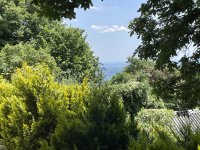 Eladó telek, XII. kerületben 49.999 M Ft / költözzbe.hu