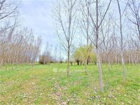 Eladó telek, Nagykőrösön 1.6 M Ft / költözzbe.hu