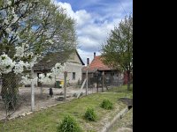 Eladó családi ház, Bakson 4.5 M Ft, 1 szobás