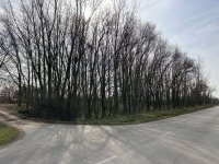 Eladó telek, Cegléden 60 M Ft / költözzbe.hu