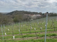 Eladó mezogazdasagi ingatlan, Villányban 4.4 M Ft