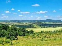 Eladó mezogazdasagi ingatlan, Csabdiban 59.9 M Ft