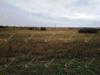 Eladó mezogazdasagi ingatlan, Berhidán 11.9 M Ft