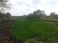 Eladó mezogazdasagi ingatlan, Hajdúszoboszlón 2.5 M Ft