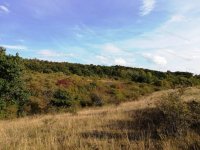 Eladó mezogazdasagi ingatlan, Balatonalmádiban 8.4 M Ft