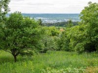 Eladó telek, Budaörsön 39 M Ft / költözzbe.hu