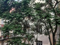 Eladó téglalakás, XIII. kerületben, Hollán Ernő utcában