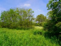 Eladó telek, Kisgörbőn 4.5 M Ft, 2 szobás / költözzbe.hu