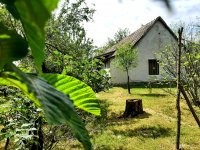 Eladó mezogazdasagi ingatlan, Szabadszálláson 17.5 M Ft