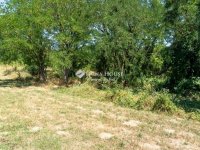 Eladó családi ház, Gödöllőn 75.9 M Ft, 6 szobás