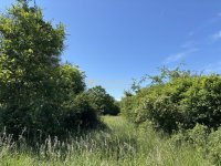 Eladó telek, Piliscséven 3.2 M Ft / költözzbe.hu