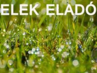 Eladó telek, Kecskeméten 6.9 M Ft / költözzbe.hu