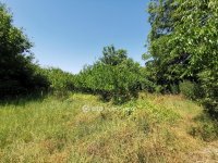 Eladó telek, Dömsödön 7.9 M Ft / költözzbe.hu