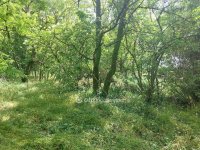 Eladó mezogazdasagi ingatlan, Dócon 1.59 M Ft